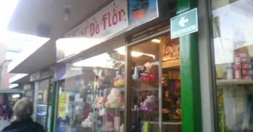 MISCELANEA EL BAUL DE FLOR SAN PEDRO PLAZA MISCELANEA EL BAUL DE FLOR SAN PEDRO PLAZA